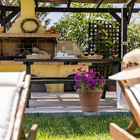 Varta Village - Elea House Case de vacanță *