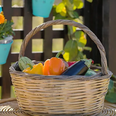 Varta Village - Elea House * Kalipádhon