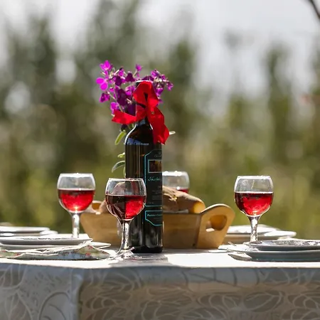 Varta Village - Elea House * Kalipádhon